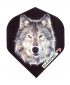 1836 Spirit Wolf Elkadart flight